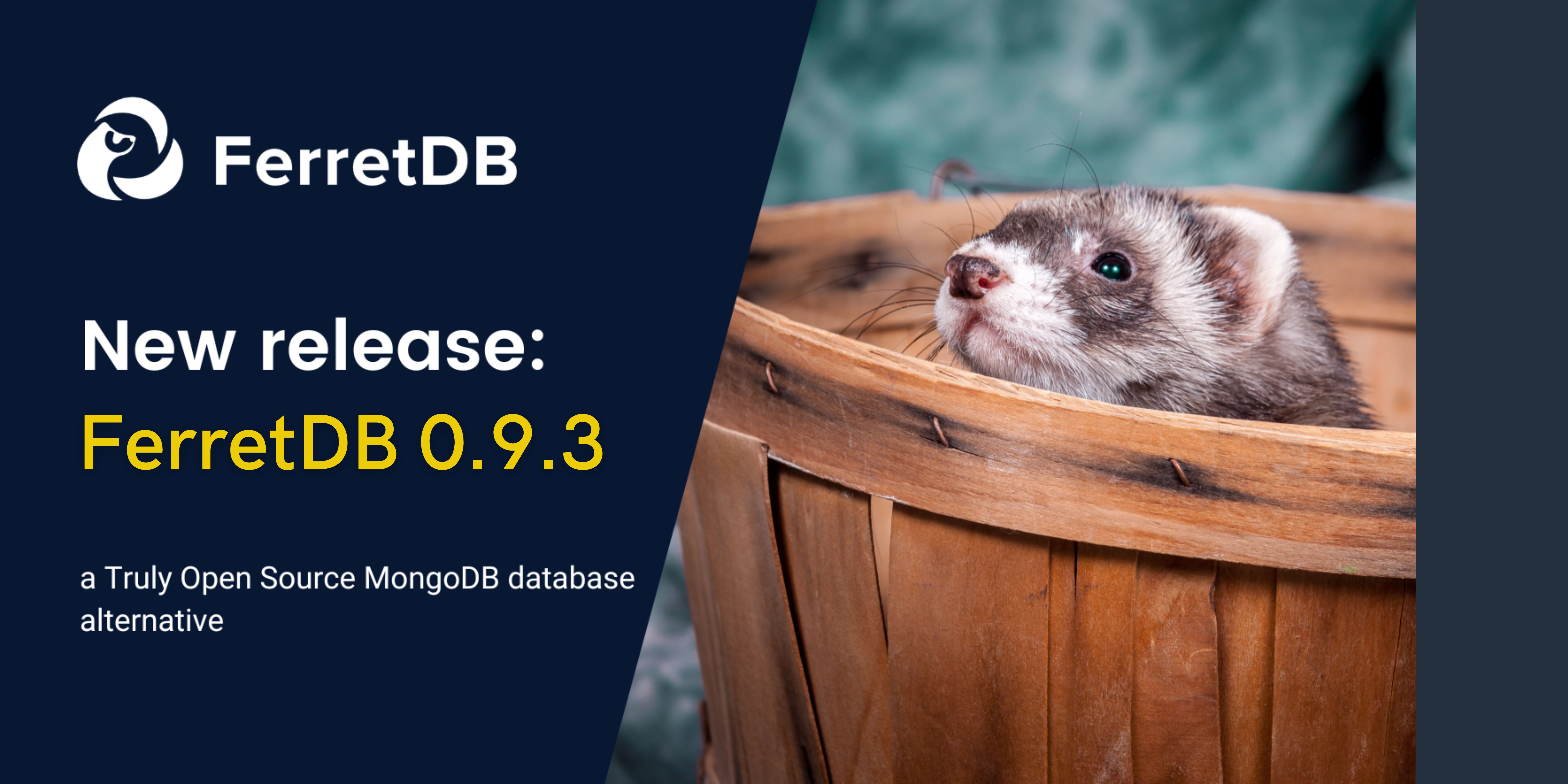 FerretDB v0.9.3